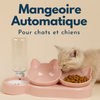 Mangeoire automatique pour chats et chiens