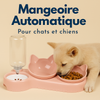 Mangeoire automatique pour chats et chiens